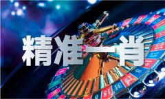 2023新澳门网坐材料